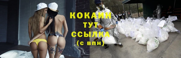 СК Верхний Тагил