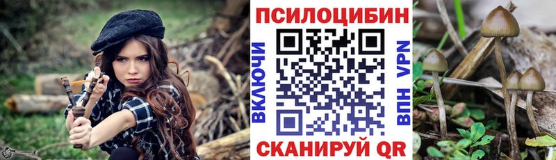 Псилоцибиновые грибы Magic Shrooms  Великий Новгород 